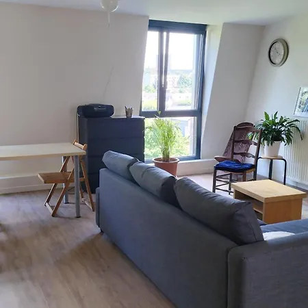 Apartament Loft Confortable Et Calme *