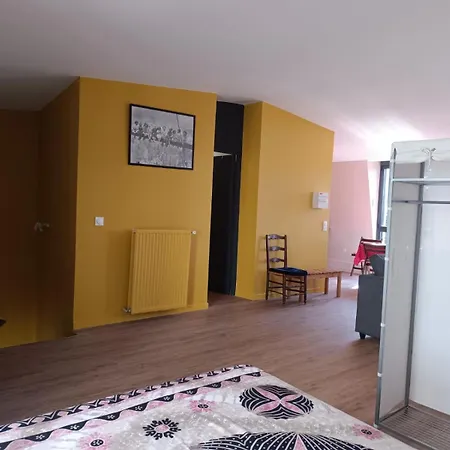 Grand Confortable Et Calme Appartamento